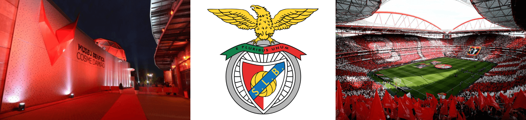 Benfica Museum, Club Crest and Stadium